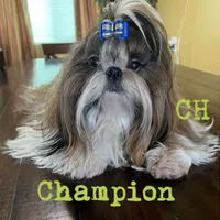 processed/89ac6b42-e51a-4800-8e35-88edabb6fe69/facility/857ffd4a-63bf-4f97-a311-3a95984dd07a