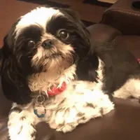 processed/89ac6b42-e51a-4800-8e35-88edabb6fe69/facility/bde5a697-66a1-449e-9354-a99f3f80f71a