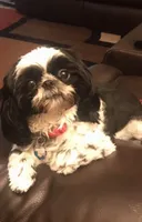 processed/89ac6b42-e51a-4800-8e35-88edabb6fe69/facility/bde5a697-66a1-449e-9354-a99f3f80f71a