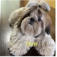 processed/89ac6b42-e51a-4800-8e35-88edabb6fe69/facility/cbdeae6a-262b-4ced-84a5-173cb9dfd2d8