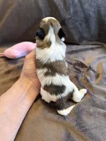 processed/89ac6b42-e51a-4800-8e35-88edabb6fe69/listing/23ed6172-00d0-4363-ac21-319723431037/0e6eff18-29ef-427c-bad4-f27fb071bce3