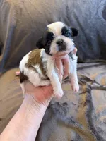 processed/89ac6b42-e51a-4800-8e35-88edabb6fe69/listing/23ed6172-00d0-4363-ac21-319723431037/2848fe82-a882-4f6d-817b-47c9b6899bea