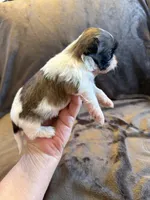 processed/89ac6b42-e51a-4800-8e35-88edabb6fe69/listing/23ed6172-00d0-4363-ac21-319723431037/adb83afb-bc0c-4879-ba8c-b47184566d1a