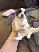 processed/89ac6b42-e51a-4800-8e35-88edabb6fe69/listing/23ed6172-00d0-4363-ac21-319723431037/e360f360-a1d3-403b-8a4f-7da0e5602af6