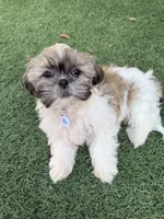 processed/89ac6b42-e51a-4800-8e35-88edabb6fe69/listing/562efd94-4312-46ae-89c3-1d91649b91bc/60c16f92-6a0d-4873-a90f-8cd71b002407