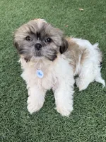 processed/89ac6b42-e51a-4800-8e35-88edabb6fe69/listing/562efd94-4312-46ae-89c3-1d91649b91bc/bdda3014-8be6-47c9-97e2-98f793792fa2