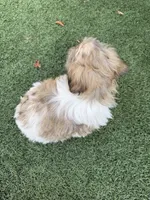 processed/89ac6b42-e51a-4800-8e35-88edabb6fe69/listing/562efd94-4312-46ae-89c3-1d91649b91bc/e9dee32c-ee25-4f5c-abb0-4c6ba7b86678