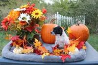 processed/89ae96a8-3162-488d-94e1-bb65d830adb5/listing/04dc4507-c8bb-4783-8c79-6c138f2000f2/12333b51-2ccd-41ac-a40f-3f5f959ed499