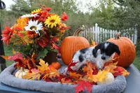 processed/89ae96a8-3162-488d-94e1-bb65d830adb5/listing/04dc4507-c8bb-4783-8c79-6c138f2000f2/1282c8fd-e17f-4b2e-9d4f-a307cf09a8b7