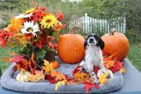 processed/89ae96a8-3162-488d-94e1-bb65d830adb5/listing/04dc4507-c8bb-4783-8c79-6c138f2000f2/2138933a-80a7-475c-bb6d-b953b96ef3c1