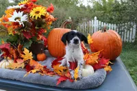 processed/89ae96a8-3162-488d-94e1-bb65d830adb5/listing/04dc4507-c8bb-4783-8c79-6c138f2000f2/7237acbe-2fd3-4b23-869c-f78471cab2c7