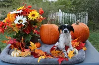 processed/89ae96a8-3162-488d-94e1-bb65d830adb5/listing/04dc4507-c8bb-4783-8c79-6c138f2000f2/ab8ce4a6-5f98-433e-8ac8-afd508eadb64