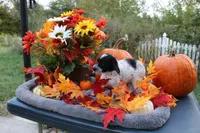 processed/89ae96a8-3162-488d-94e1-bb65d830adb5/listing/04dc4507-c8bb-4783-8c79-6c138f2000f2/d763f23c-217d-4e45-a35f-ba3dc88cf1dc