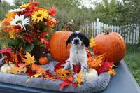 processed/89ae96a8-3162-488d-94e1-bb65d830adb5/listing/04dc4507-c8bb-4783-8c79-6c138f2000f2/fe27b100-e98a-4631-932f-dc6aff88a7a1