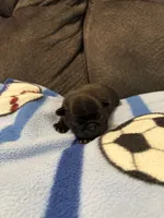 processed/89ba719f-604c-47a7-9301-d5744769a186/listing/0c14137d-dba5-46a3-a4a3-df3d51dc9ba0/0509c3dc-576a-4e04-a8e7-dff4d3a77db1