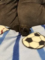 processed/89ba719f-604c-47a7-9301-d5744769a186/listing/83d39648-723a-490c-9210-a8c4f4015122/0be95760-7219-4c91-8c82-2c6bc8f43d54