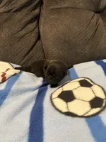 processed/89ba719f-604c-47a7-9301-d5744769a186/listing/83d39648-723a-490c-9210-a8c4f4015122/c320dd47-6114-4226-9fb4-635c841f5ff6