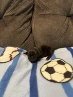 processed/89ba719f-604c-47a7-9301-d5744769a186/listing/97477610-834b-413d-9e81-c447d5055f0e/0bcfd1f2-3ca6-4d86-b30f-7cf582bb7650