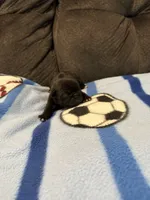 processed/89ba719f-604c-47a7-9301-d5744769a186/listing/97477610-834b-413d-9e81-c447d5055f0e/f6186fa7-d196-4339-9558-9503a680094e