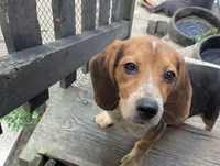 processed/89bf0e2a-db1a-43dd-ae44-1c99e4951c00/listing/96b3598f-7e86-4f88-ac6c-a5f9b476dbc5/b1234e15-24f1-4d12-bb59-bb8c9edebe71