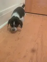 processed/89bf0e2a-db1a-43dd-ae44-1c99e4951c00/listing/ac1a041a-935e-454e-933d-6a3546698994/14b5ea50-8625-471d-b157-a00079dab1fa