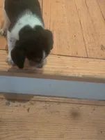 processed/89bf0e2a-db1a-43dd-ae44-1c99e4951c00/listing/ac1a041a-935e-454e-933d-6a3546698994/4bfe1d1a-4030-4a71-be55-3f4d325b77d2