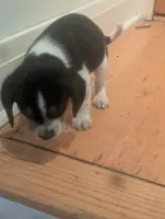 processed/89bf0e2a-db1a-43dd-ae44-1c99e4951c00/listing/ac1a041a-935e-454e-933d-6a3546698994/57f01570-7138-4d09-8e42-f5933e874e58