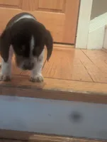 processed/89bf0e2a-db1a-43dd-ae44-1c99e4951c00/listing/ac1a041a-935e-454e-933d-6a3546698994/82eb3f7f-74c8-4db5-bf6a-3add518a1609