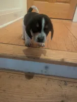 processed/89bf0e2a-db1a-43dd-ae44-1c99e4951c00/listing/ac1a041a-935e-454e-933d-6a3546698994/a0ac0821-7dfb-4769-a271-a340c58de593