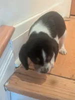 processed/89bf0e2a-db1a-43dd-ae44-1c99e4951c00/listing/ac1a041a-935e-454e-933d-6a3546698994/cd431395-6164-4f6c-b41b-30e3ac01897a