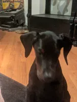 processed/89bf0e2a-db1a-43dd-ae44-1c99e4951c00/listing/e88b34f1-93e8-4a69-9528-b63faef197d1/24863711-56ea-41a7-a38f-378844196df3