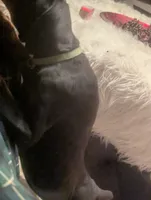 processed/89bf0e2a-db1a-43dd-ae44-1c99e4951c00/listing/e88b34f1-93e8-4a69-9528-b63faef197d1/3eb08cdc-fdb7-4531-875b-2071d8579292