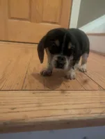 processed/89bf0e2a-db1a-43dd-ae44-1c99e4951c00/listing/e8909fce-cb9e-46a7-b57a-31bf0b45cfe8/22a50a9b-1902-4de8-a860-2aa07cf32f35