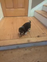 processed/89bf0e2a-db1a-43dd-ae44-1c99e4951c00/listing/e8909fce-cb9e-46a7-b57a-31bf0b45cfe8/3ad1c664-10e0-402c-9213-30a8c74e9621