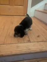 processed/89bf0e2a-db1a-43dd-ae44-1c99e4951c00/listing/e8909fce-cb9e-46a7-b57a-31bf0b45cfe8/550daef3-29e9-4ac7-a214-cd5e51ba2e64