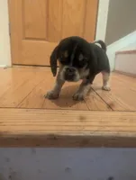 processed/89bf0e2a-db1a-43dd-ae44-1c99e4951c00/listing/e8909fce-cb9e-46a7-b57a-31bf0b45cfe8/5dd23e6c-2551-466a-b91b-712bfc532de5