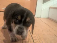 processed/89bf0e2a-db1a-43dd-ae44-1c99e4951c00/listing/e8909fce-cb9e-46a7-b57a-31bf0b45cfe8/64721053-c806-4c68-ac10-8f80f526b29b