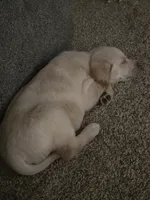 processed/89bf5912-2862-4912-9a73-9d50fd71d7d5/listing/2cad1538-c01a-4dc9-b639-a547ce4946a3/20989fb6-3fd1-46a1-94d5-c6683e2a0c31