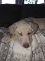 processed/89bf5912-2862-4912-9a73-9d50fd71d7d5/listing/2cad1538-c01a-4dc9-b639-a547ce4946a3/79c62adf-7281-4318-a886-85ffa93d0a64