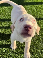 processed/89bf5912-2862-4912-9a73-9d50fd71d7d5/listing/2cad1538-c01a-4dc9-b639-a547ce4946a3/80492881-7a3b-4d87-84c1-b84fb55f79e7