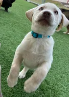 processed/89bf5912-2862-4912-9a73-9d50fd71d7d5/listing/2cad1538-c01a-4dc9-b639-a547ce4946a3/88f47207-7962-49c6-b891-4fd635ad70a9