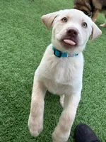 processed/89bf5912-2862-4912-9a73-9d50fd71d7d5/listing/2cad1538-c01a-4dc9-b639-a547ce4946a3/9d4b43d4-2da1-4184-9e4a-2c8a65f29c90