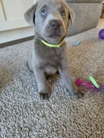 processed/89bf5912-2862-4912-9a73-9d50fd71d7d5/listing/40b6105b-976a-41db-8c62-19e9604192fb/02b0e451-d8e0-4e10-8bcd-cf3c1217c13c