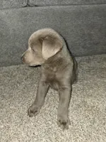 processed/89bf5912-2862-4912-9a73-9d50fd71d7d5/listing/40b6105b-976a-41db-8c62-19e9604192fb/6184420e-2b56-4a2e-bc4e-9c2771a4b75d