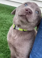 processed/89bf5912-2862-4912-9a73-9d50fd71d7d5/listing/40b6105b-976a-41db-8c62-19e9604192fb/8fbd821e-0654-483d-8a15-a09424768ec5