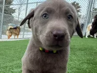 processed/89bf5912-2862-4912-9a73-9d50fd71d7d5/listing/40b6105b-976a-41db-8c62-19e9604192fb/92cf7426-5905-45f7-8d11-593ce379b645