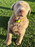 processed/89bf5912-2862-4912-9a73-9d50fd71d7d5/listing/40b6105b-976a-41db-8c62-19e9604192fb/d03e03bf-9370-4023-8ac9-43fd9dbed0f1