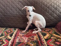 processed/89c19b57-d1fd-4274-888c-2f8b8da42dc8/listing/13f510bf-cafb-476e-aae1-cc01c4022d5d/06627232-d1b9-43d5-8e2a-a071e1631a4e