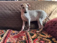 processed/89c19b57-d1fd-4274-888c-2f8b8da42dc8/listing/24f7e415-792f-40b0-8943-d6cbbbc5794a/59b2c1c9-bb5d-4345-b7e7-49fec89fa156