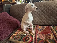 processed/89c19b57-d1fd-4274-888c-2f8b8da42dc8/listing/7abdd5c8-12c9-44aa-aa1f-377f0129421b/05cb6857-e744-47fa-9d85-d00216f6d775